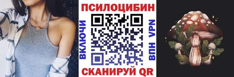 Псилоцибиновые грибы мухоморы  мега ссылка  Палласовка  дарнет шоп 